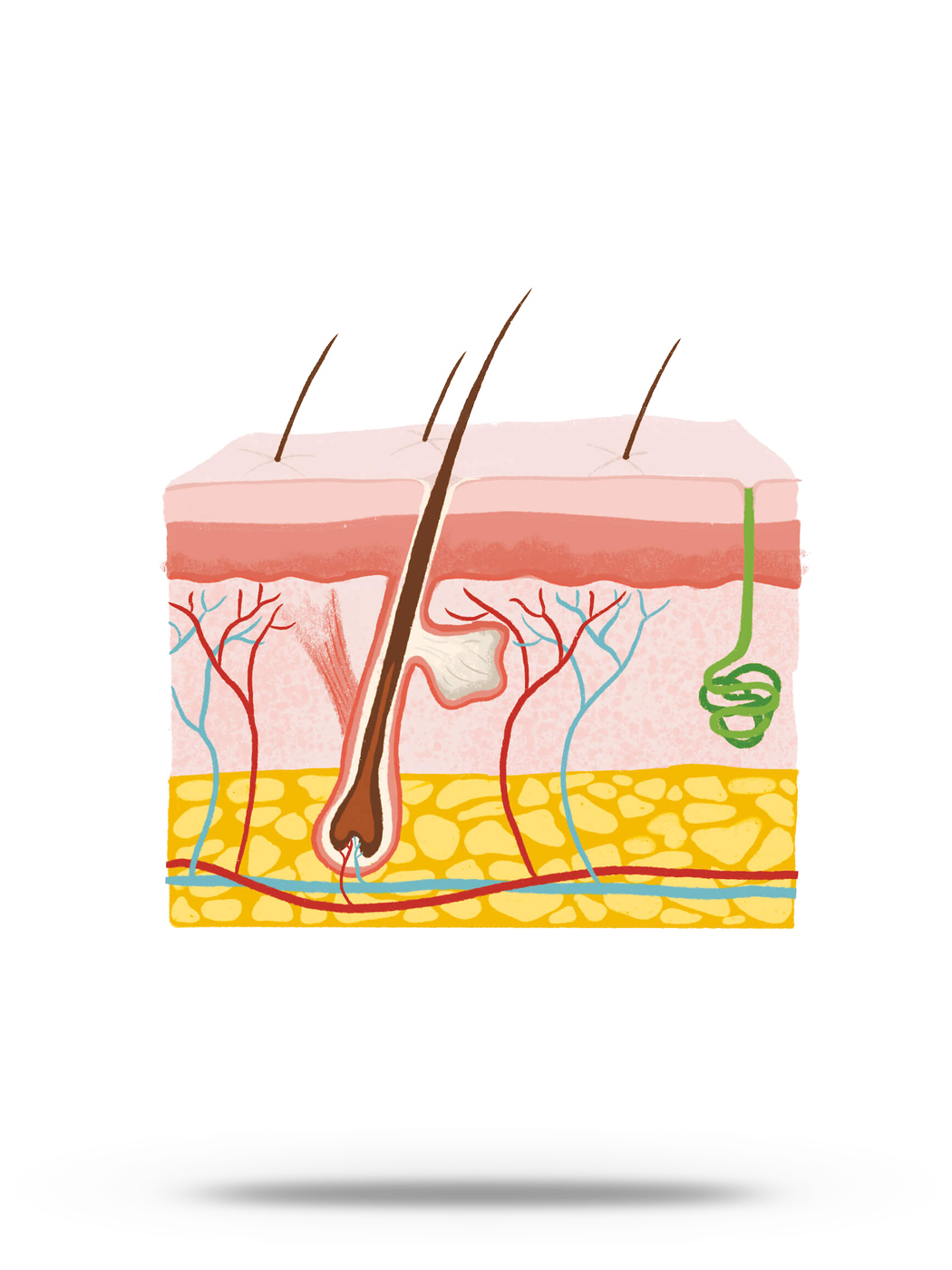 Tina Riedmann Haarologin